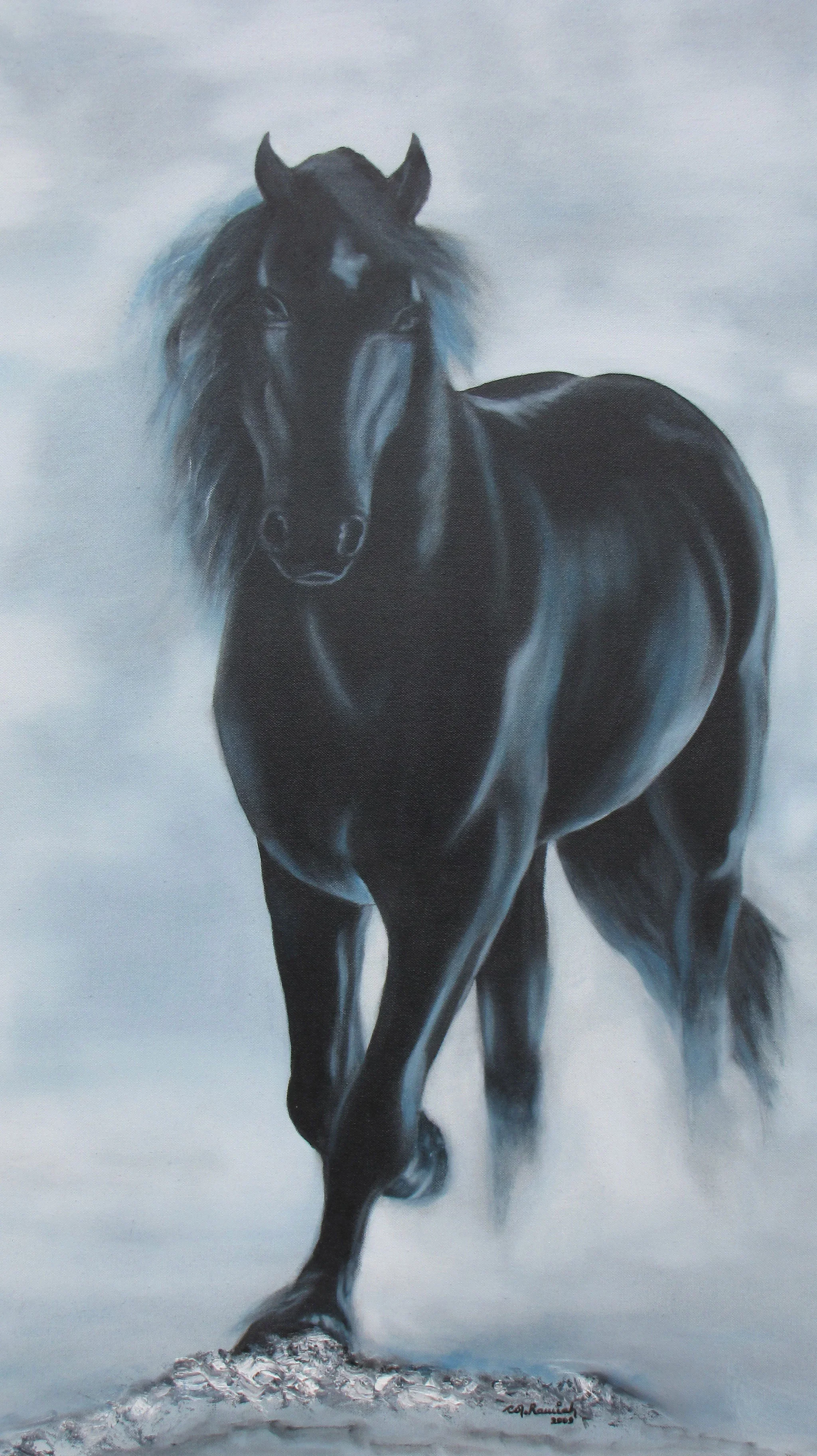 ‘The Black Stallion’